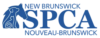 New Brunswick SPCA