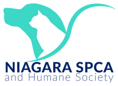 Niagara SPCA and Humane Society