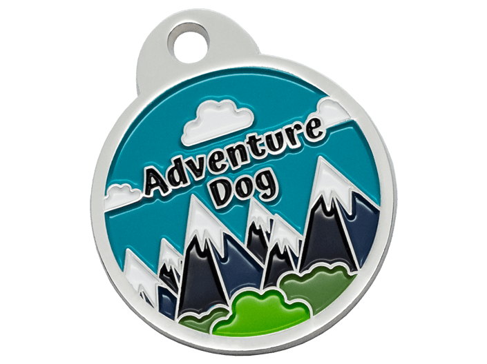 Adventure Dog